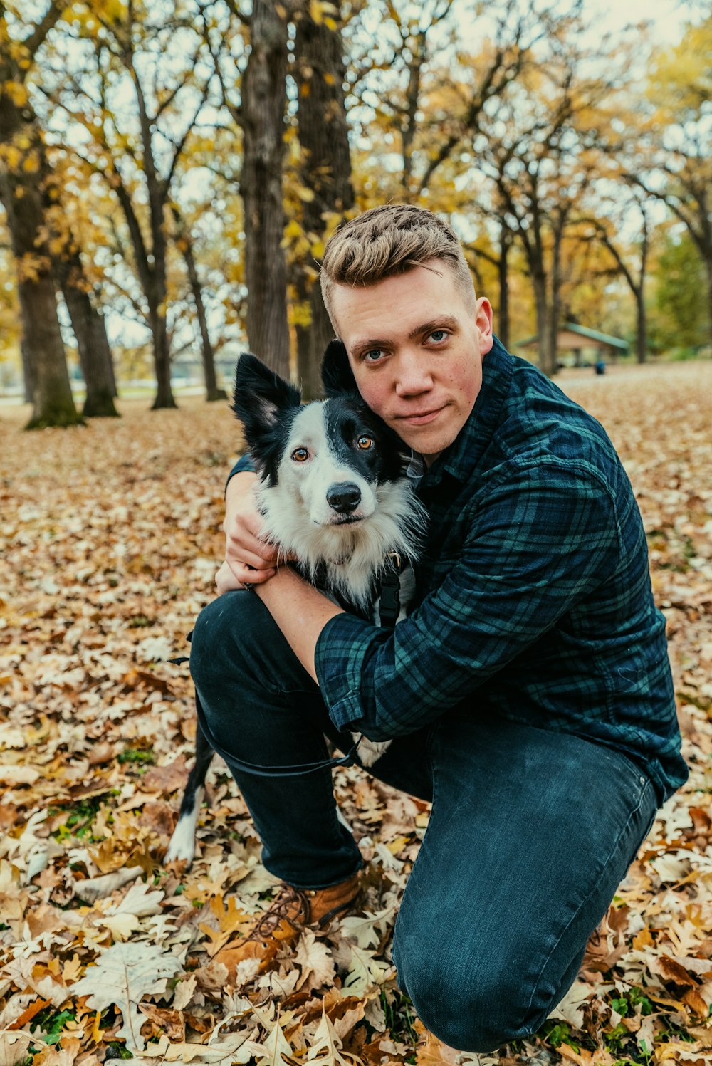 Ein unbekannter Promi, der tagsüber Border Collie umarmt