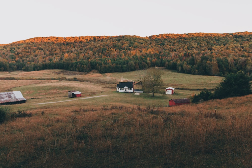 a farm in the middle of a field with trees in the background