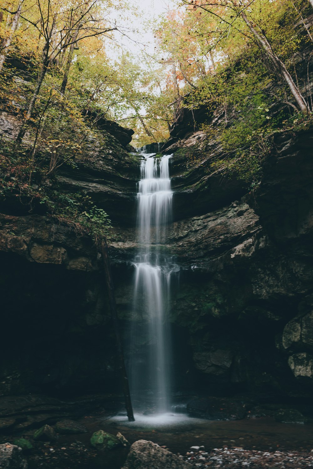 waterfalls near trees