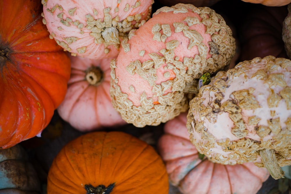 pumpkins closeup up photo