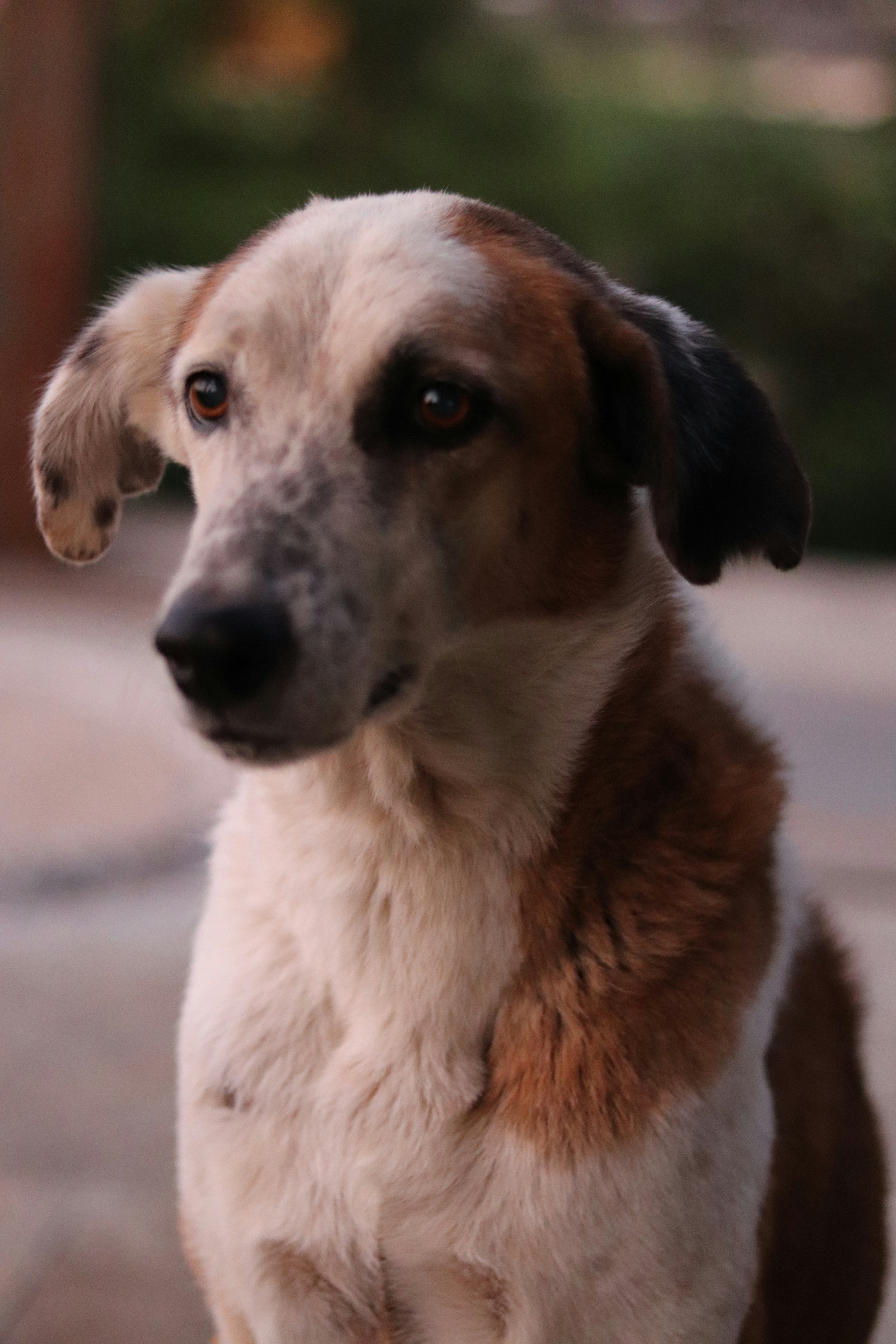 Photo by infinxphotography