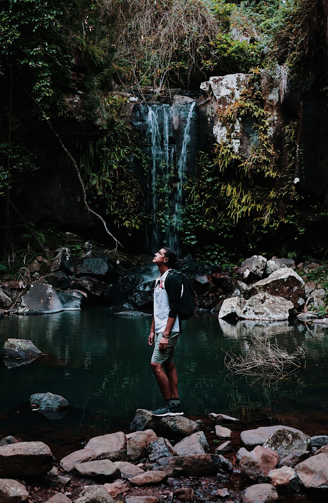 Waterfall photo spot Tamborine Mountain Elabana Falls