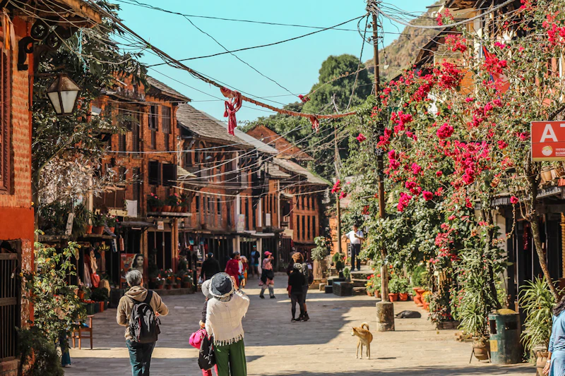 Best Places to Buy Souvenirs in Bandipur (Skip the Tourist Junk)