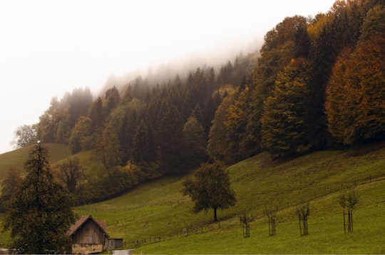 brown wooden house near trees on greenfield in Hirzel Switzerland