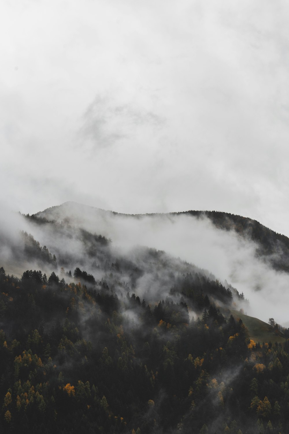 Berge mit Nebel bedeckt