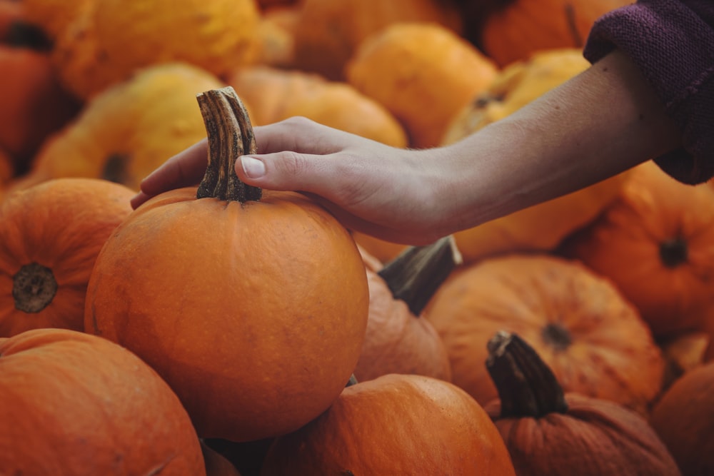 person touching pumpkin