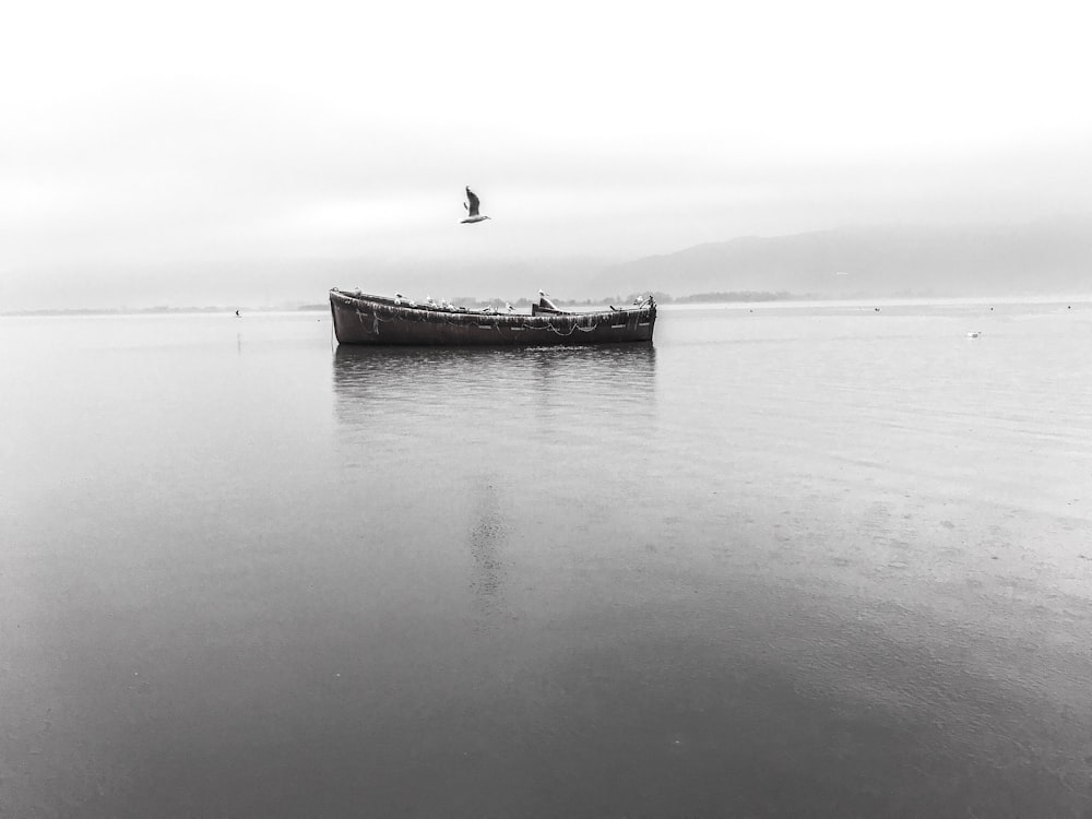 boat floating on water