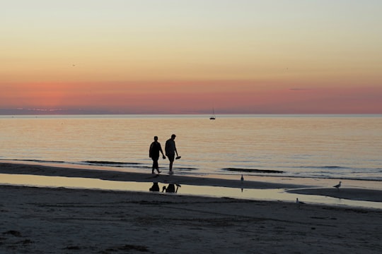 photo of Largs Bay Beach near Cleland Conservation Park