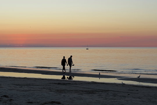two person walking on seashore during golden hour in Largs Bay Australia