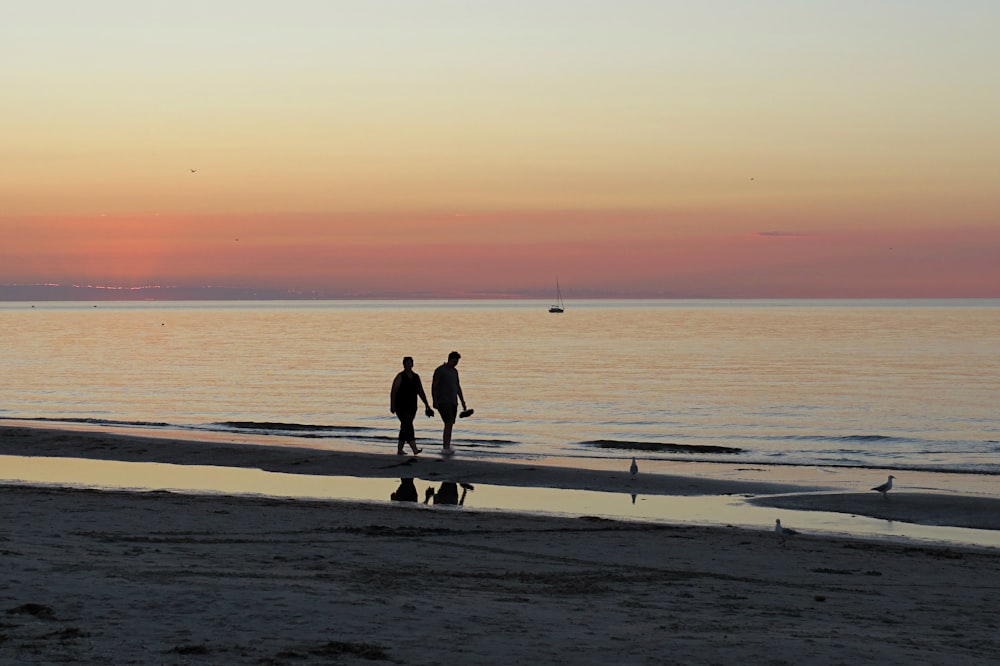 two person walking on seashore during golden hour