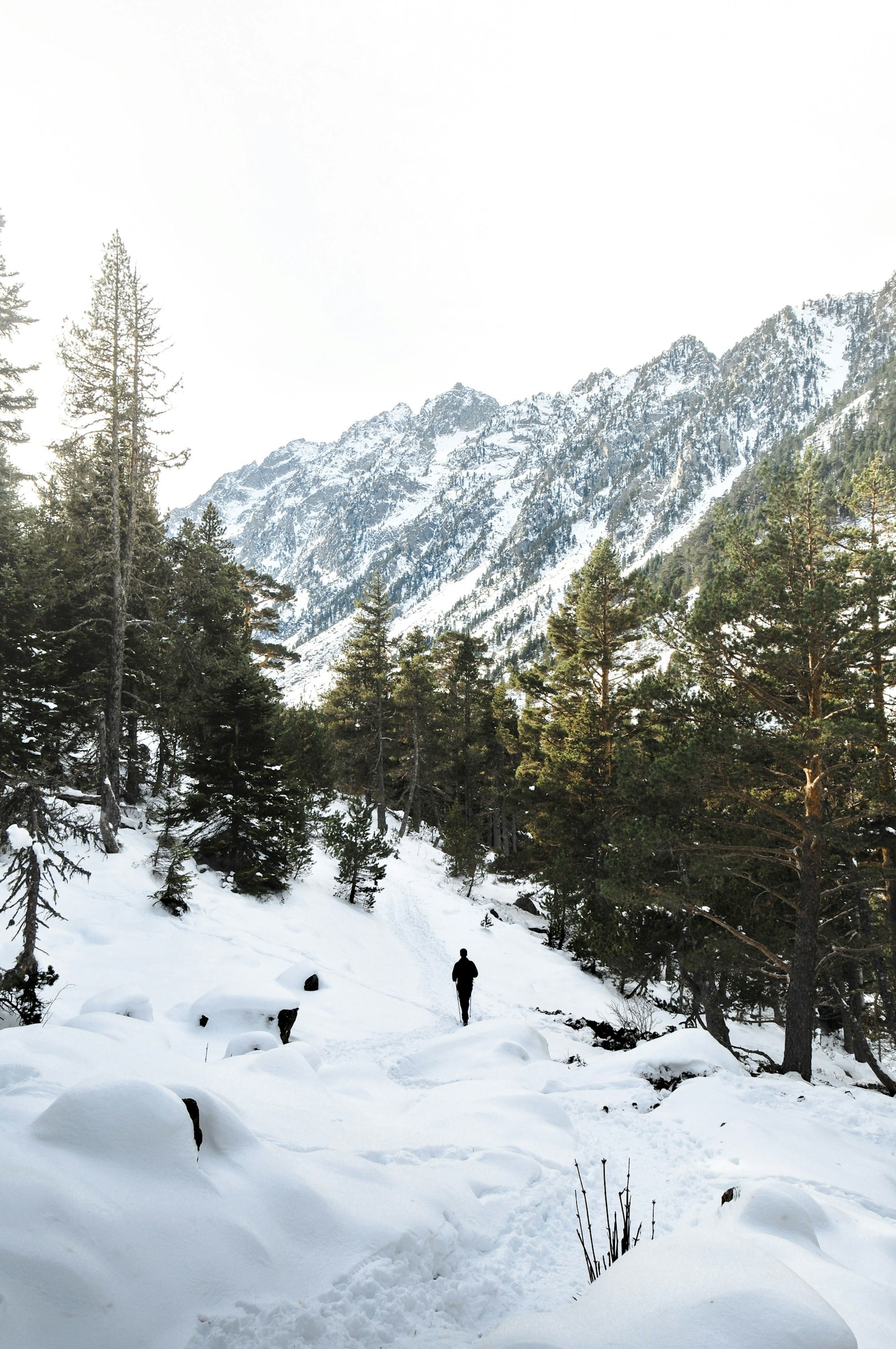 Nikon D300 + Nikon AF-S DX Nikkor 18-55mm F3.5-5.6G II sample photo. Man standing on snow photography