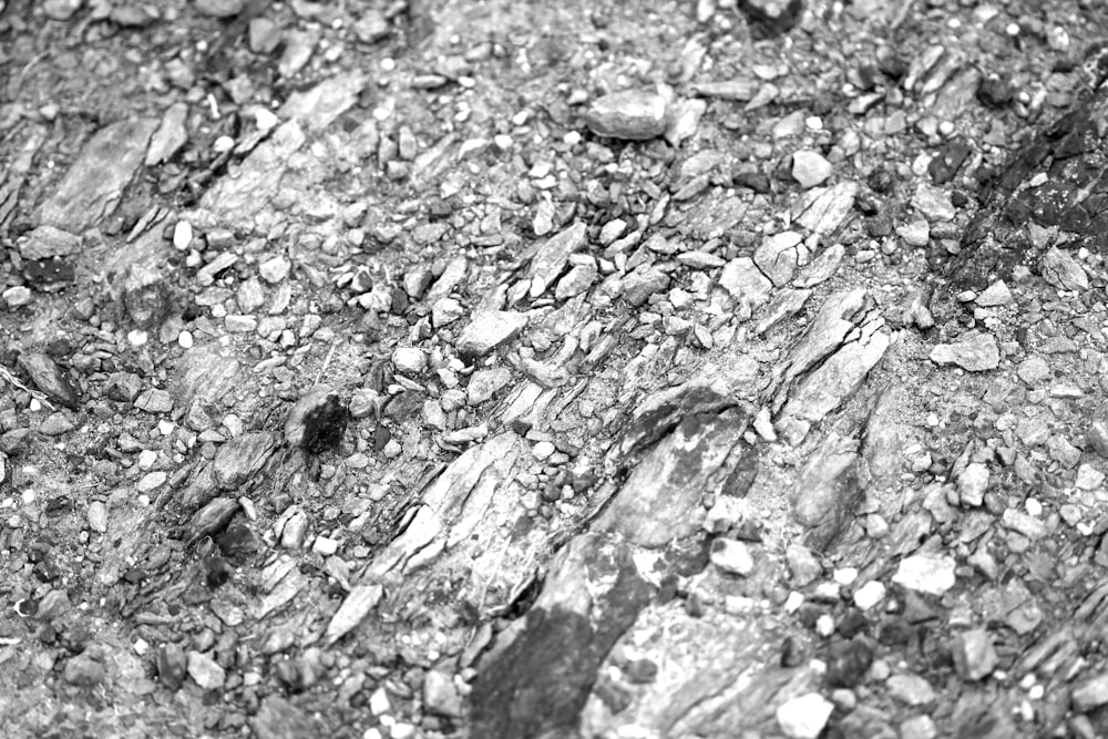 a black and white photo of rocks and gravel