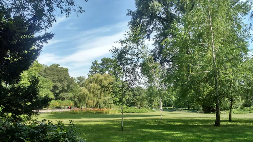 A group of university students planting trees with their pets nearby in a sunny park.