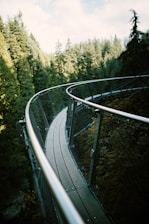 A handcrafted metal walkway gracefully curving over rugged terrain surrounded by untouched natural foliage.