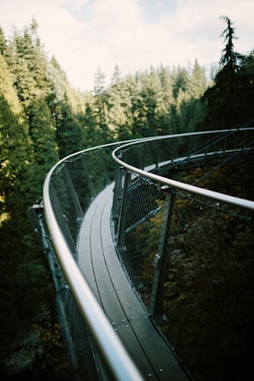 A handcrafted metal walkway gracefully curving over rugged terrain surrounded by untouched natural foliage.