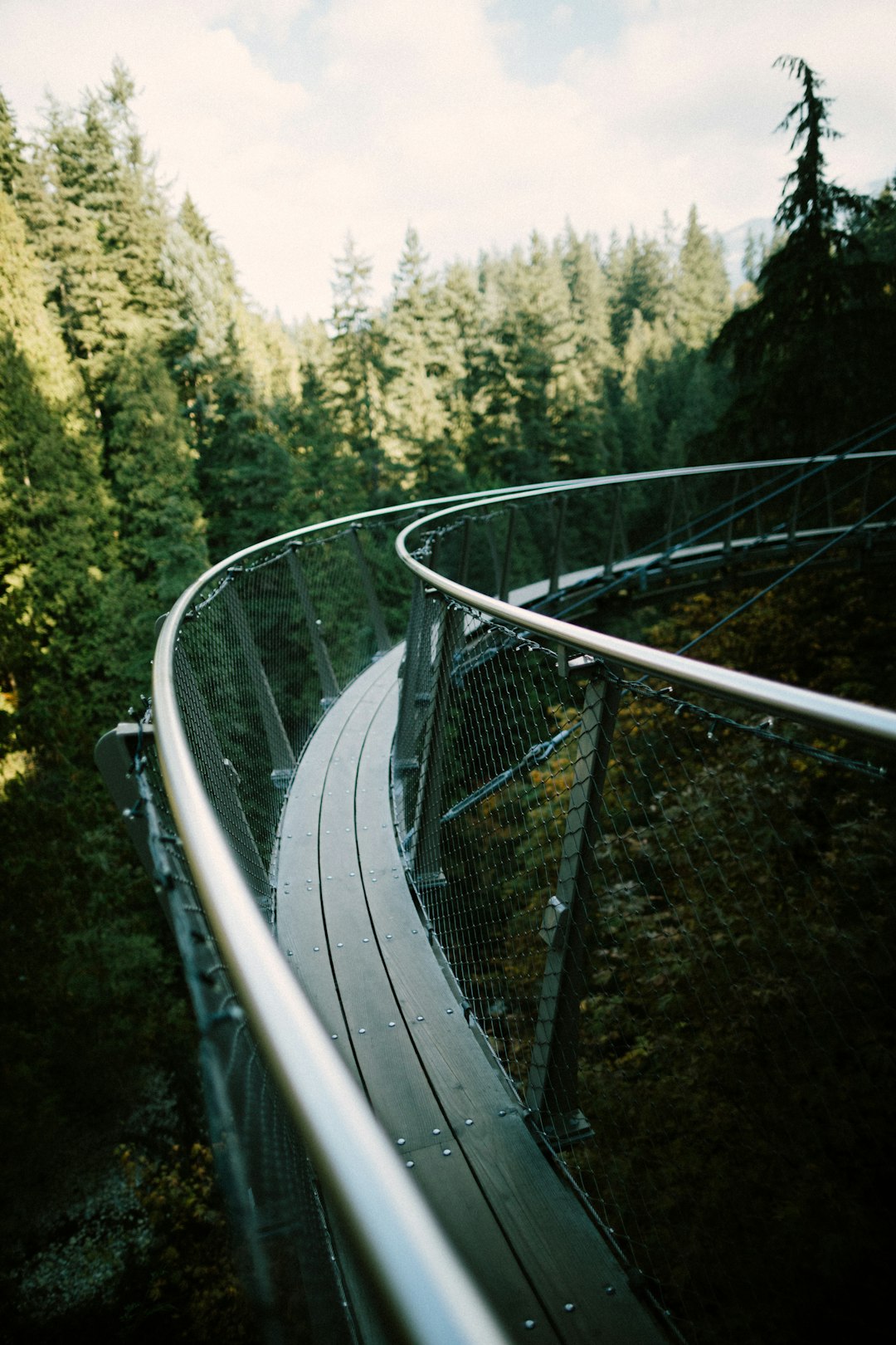 close-up rail track surrounded by trees