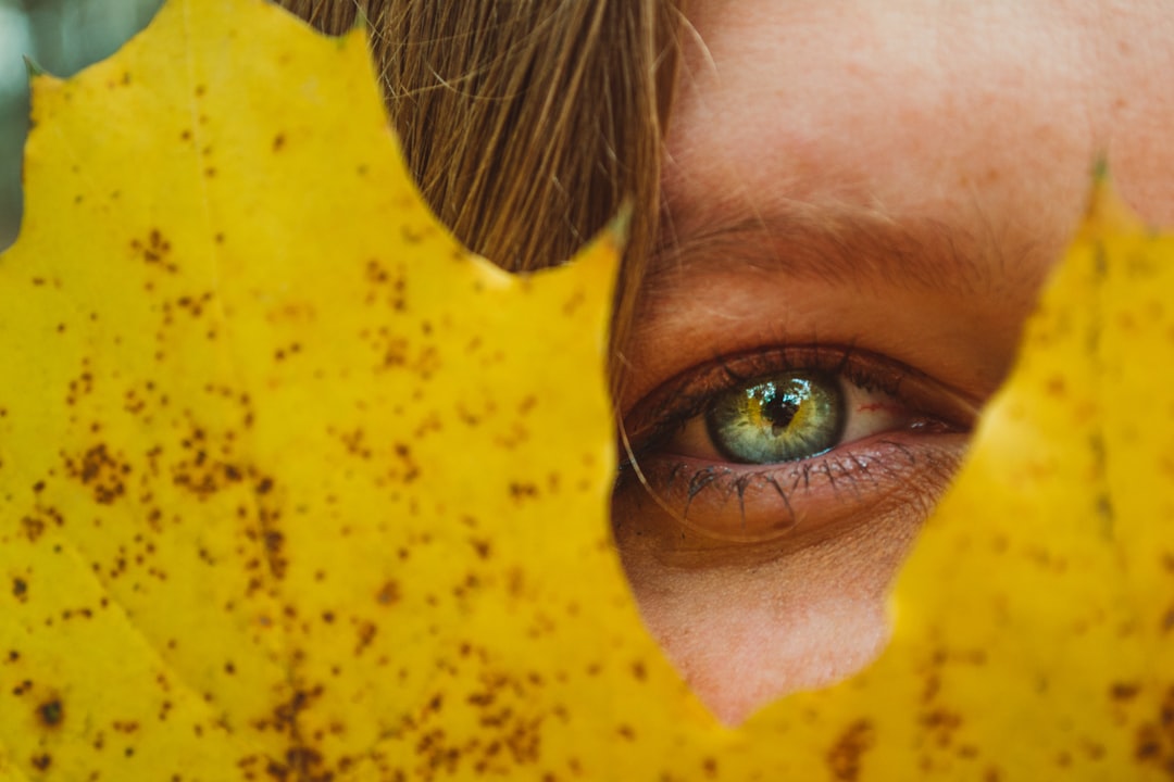 human eye through maple leaf photography