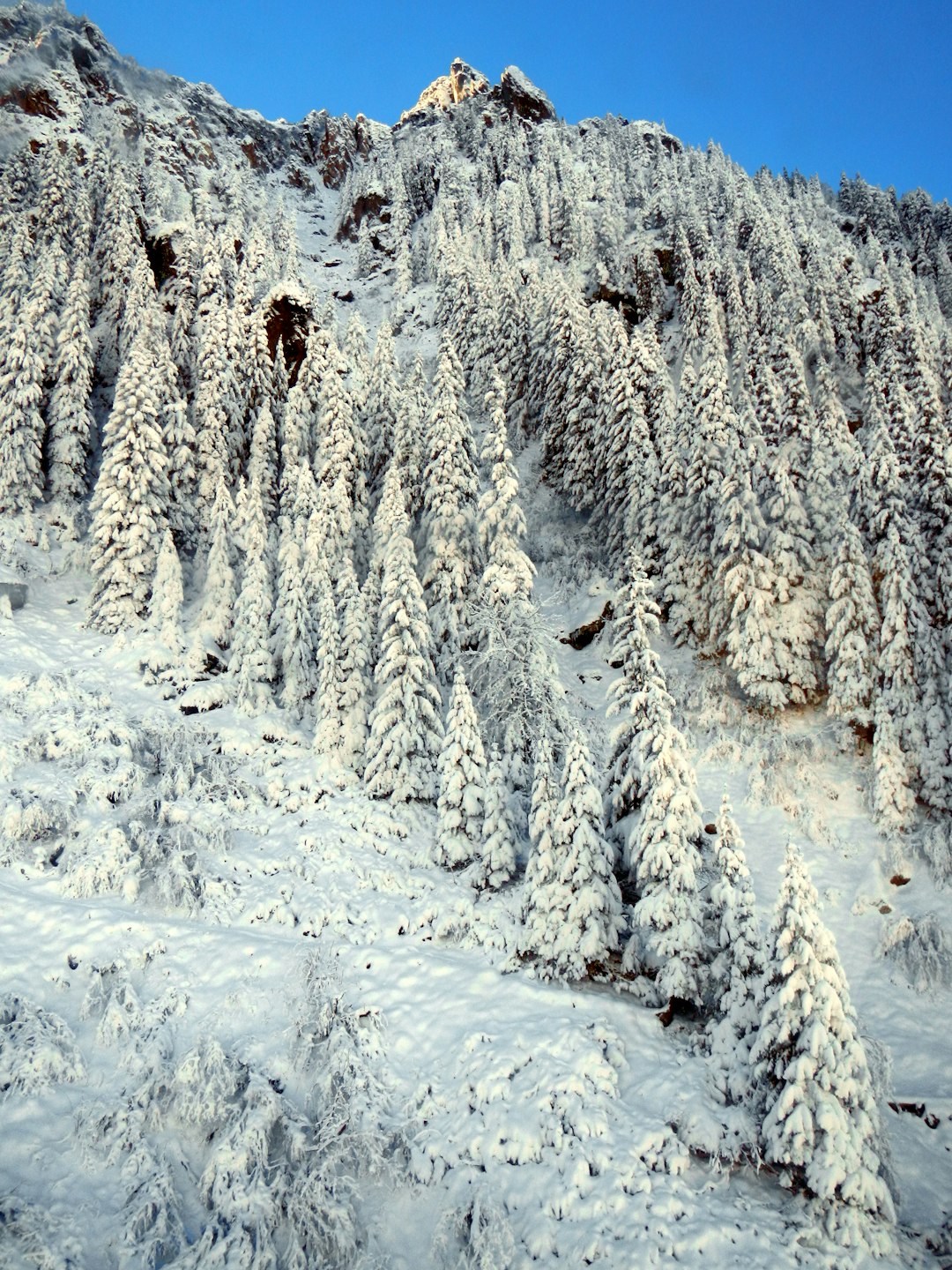 Cliff photo spot TransfÄƒgÄƒrÄƒÈ™an Comuna Bucegi Natural Park