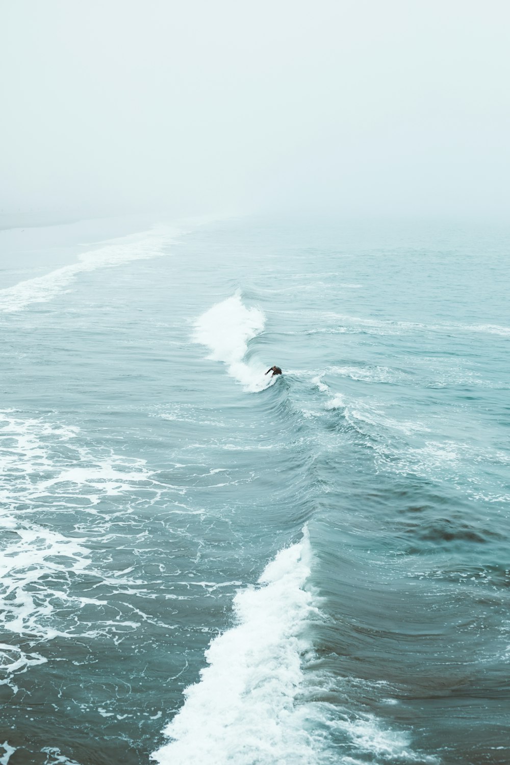 person surfing on wavy sea