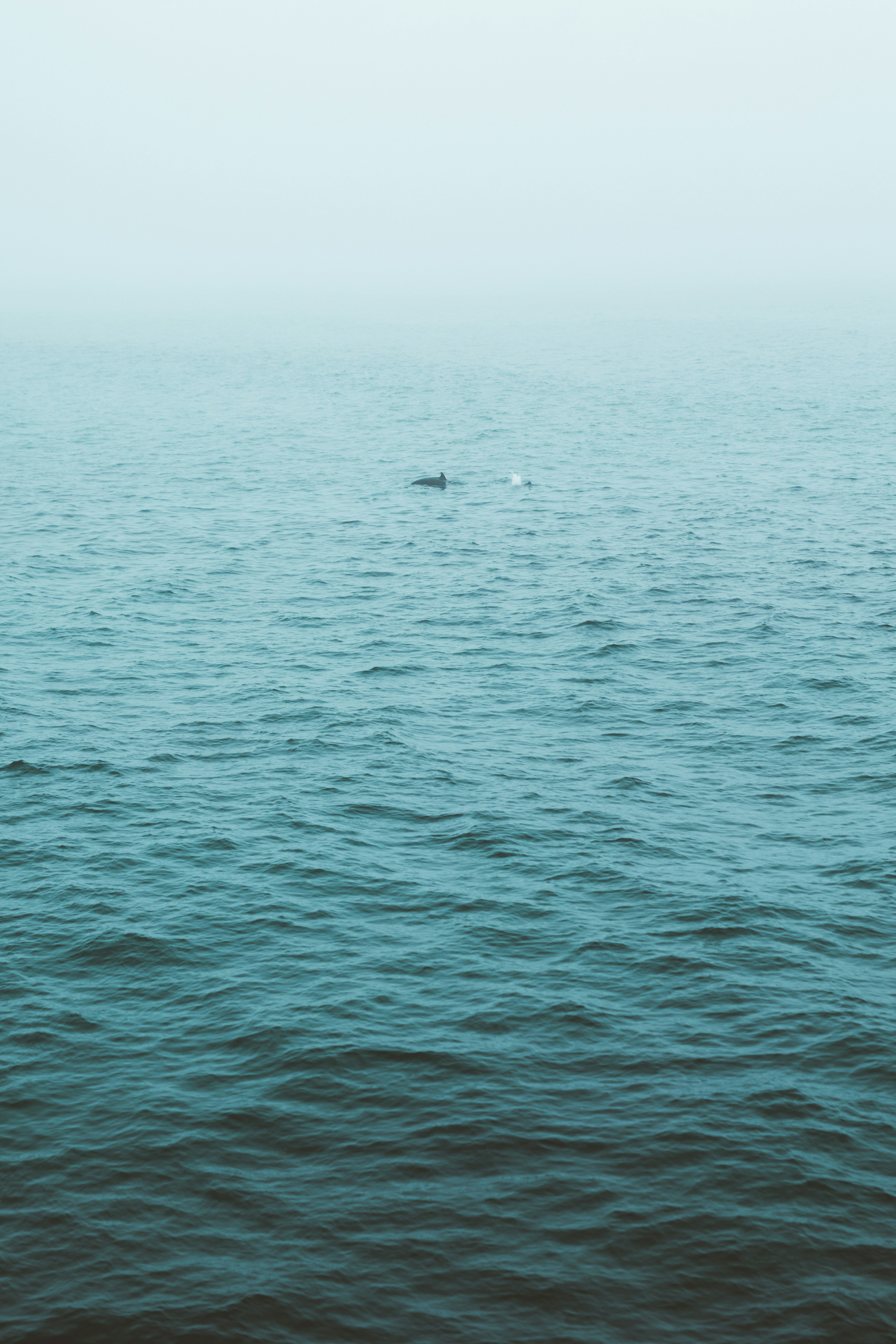 Photo by nate_dumlao