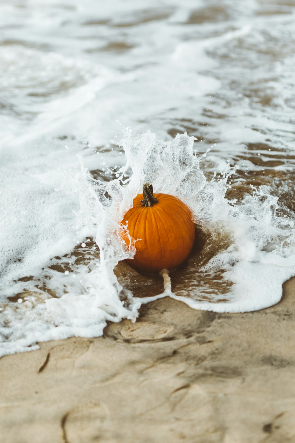 orange squash on wet sand