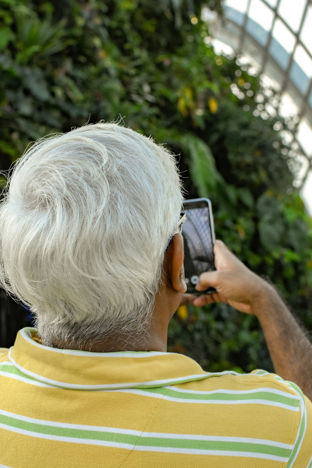 Hombre sosteniendo un teléfono inteligente cerca de plantas verdes