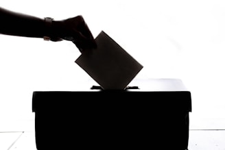 a person is casting a vote into a box