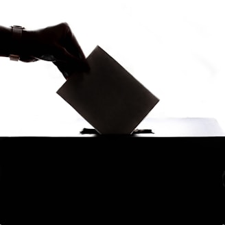 a person is casting a vote into a box