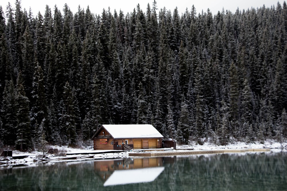 white and brown house and trees near calm body of water