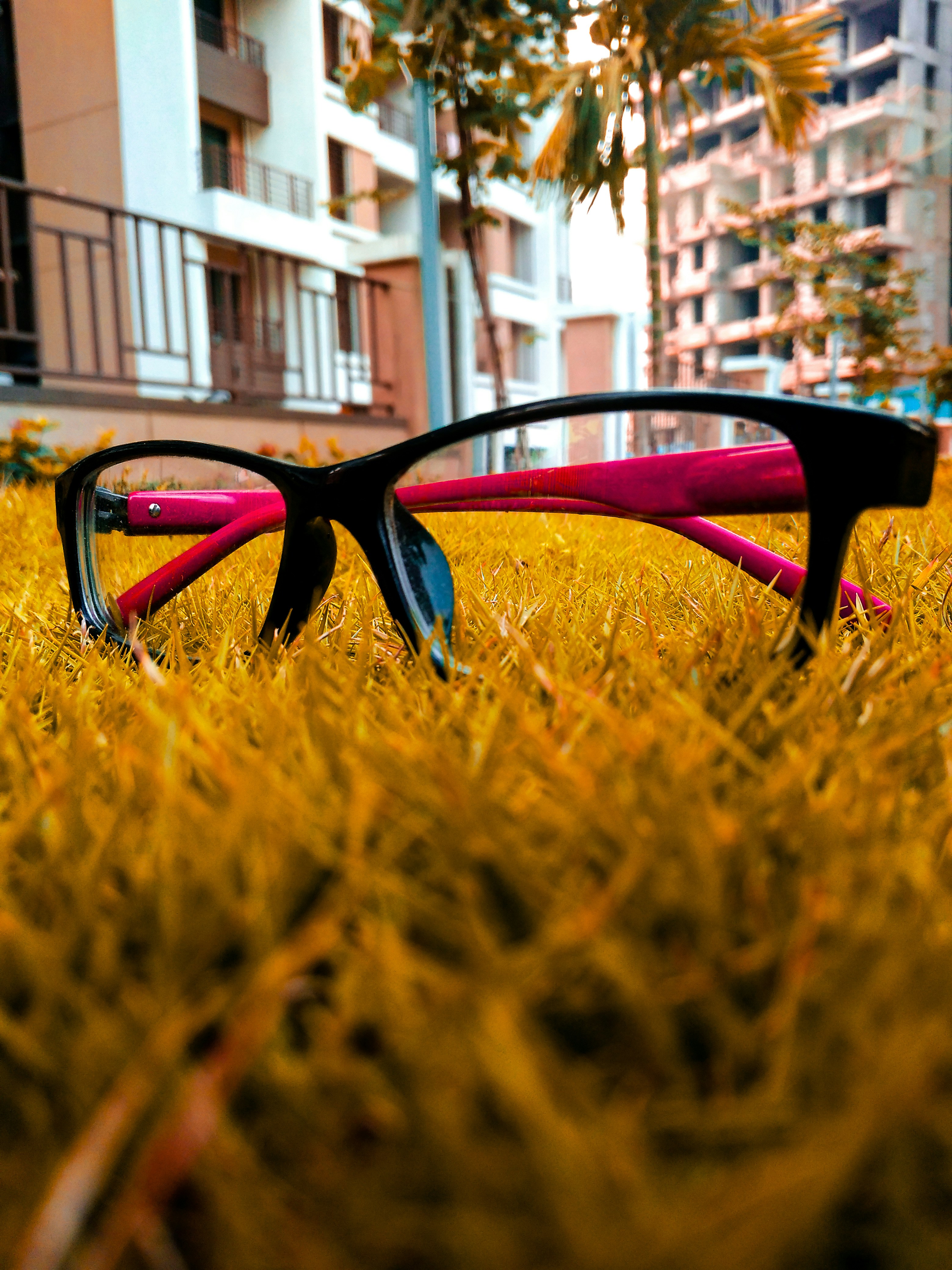 Stylish Eyewear for Everyone