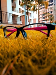 An image of eyeglasses with pink temples resting on vibrant green grass. There are buildings in the background, partially obscured by tall trees. The foreground is sharply focused on the eyeglasses, while the background is slightly blurred, giving a sense of depth.
