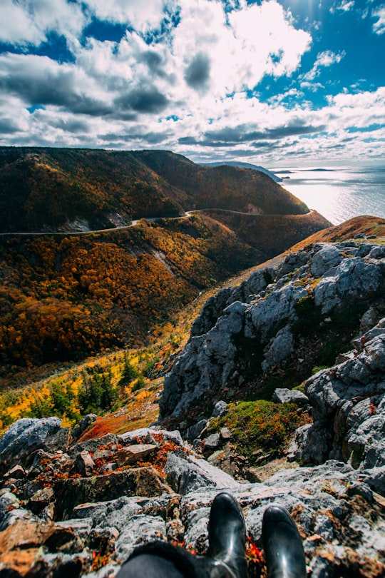 aerial view photography of mountain at daytime in Skyline Trail Canada