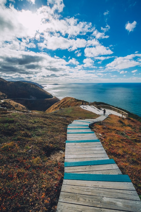 brow wooden stairs on cliff overlooking sea at daytme in Skyline Trail Canada