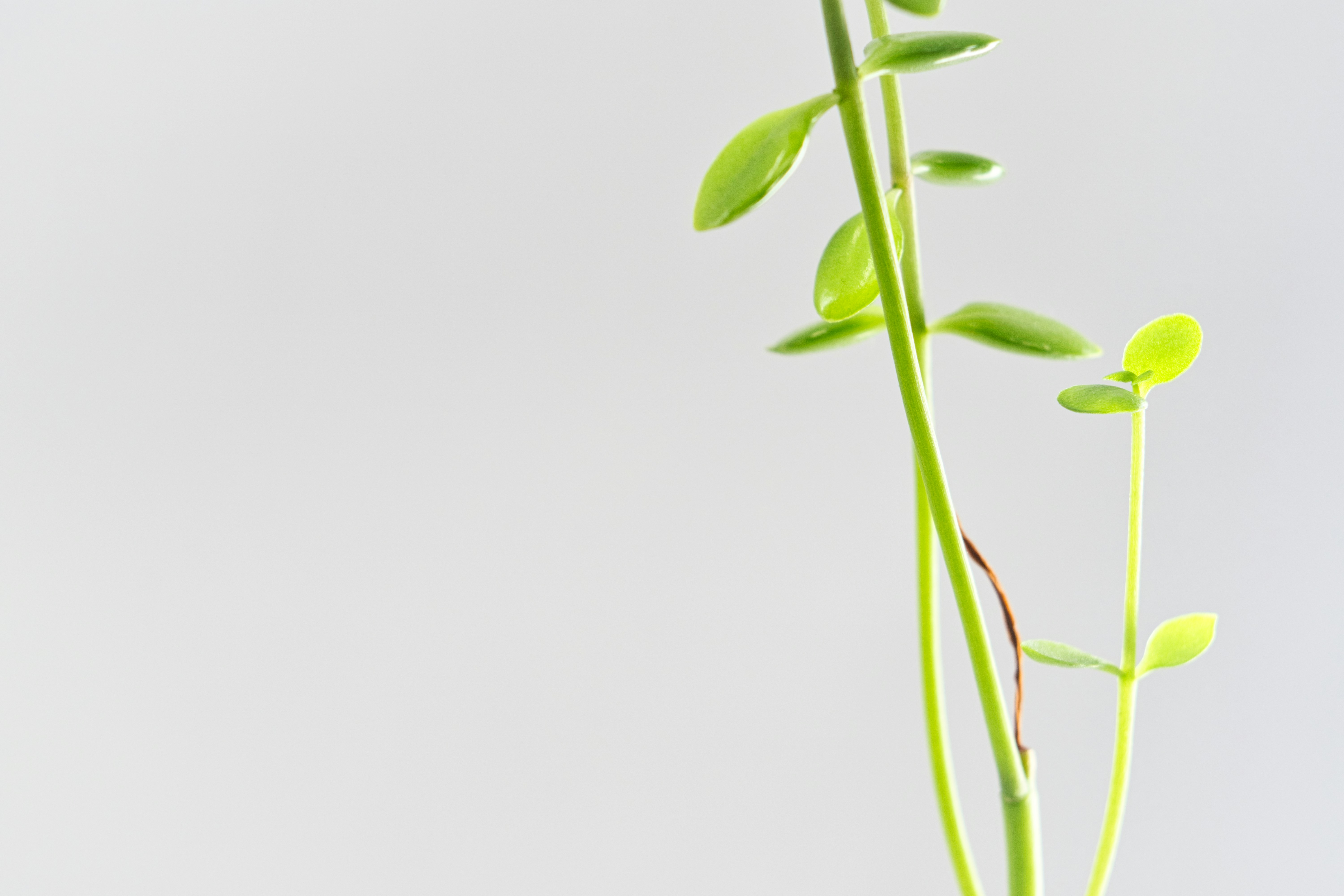 Photo by thomaskinto