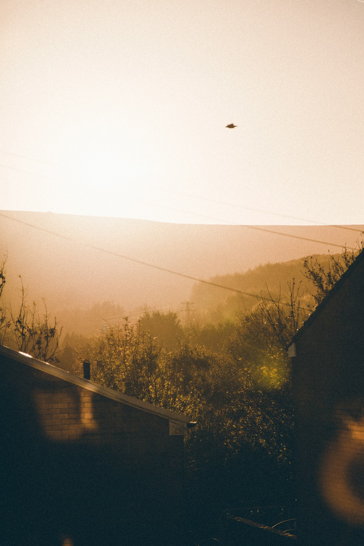 Wooded hills with a mountain backdrop above Pontypool in Torfaen, South Wales