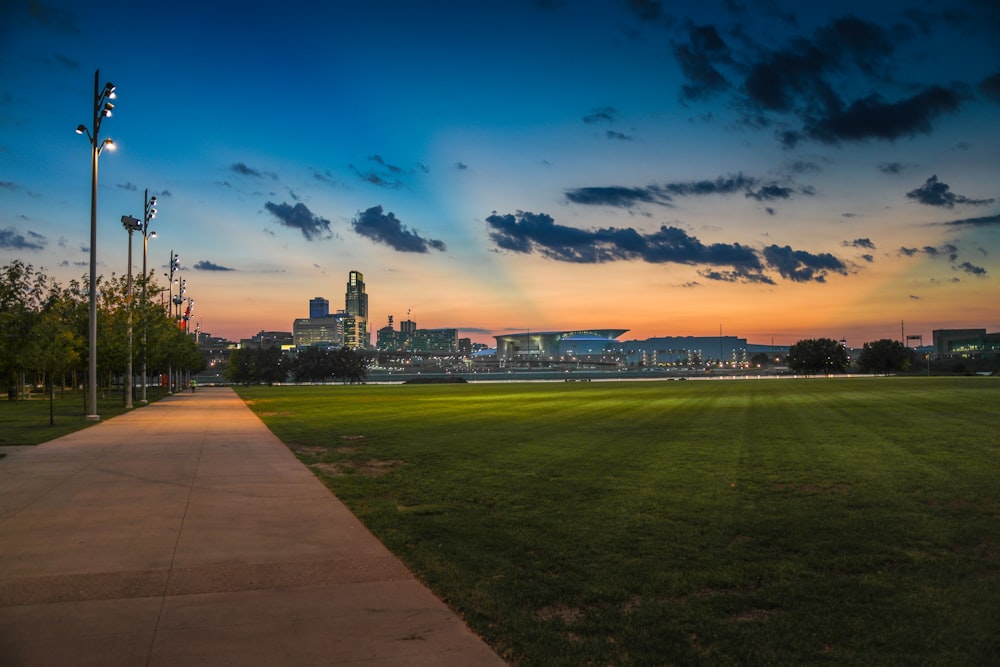 green grass field