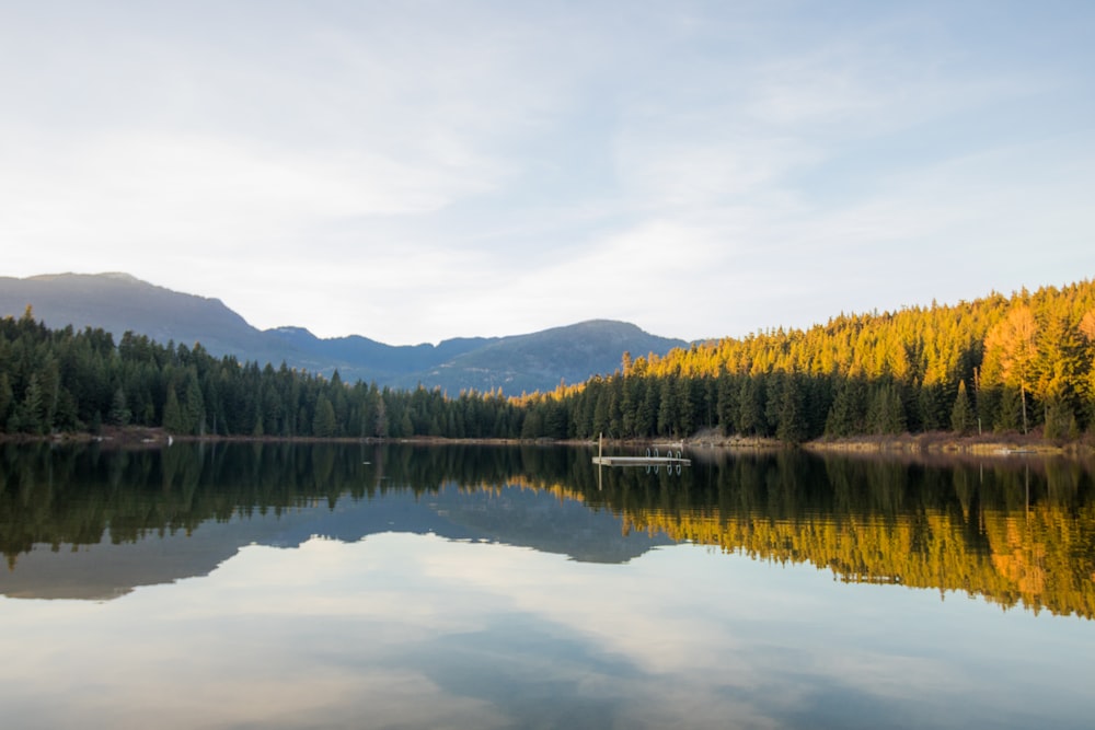 calm body of water between tress under gray sky