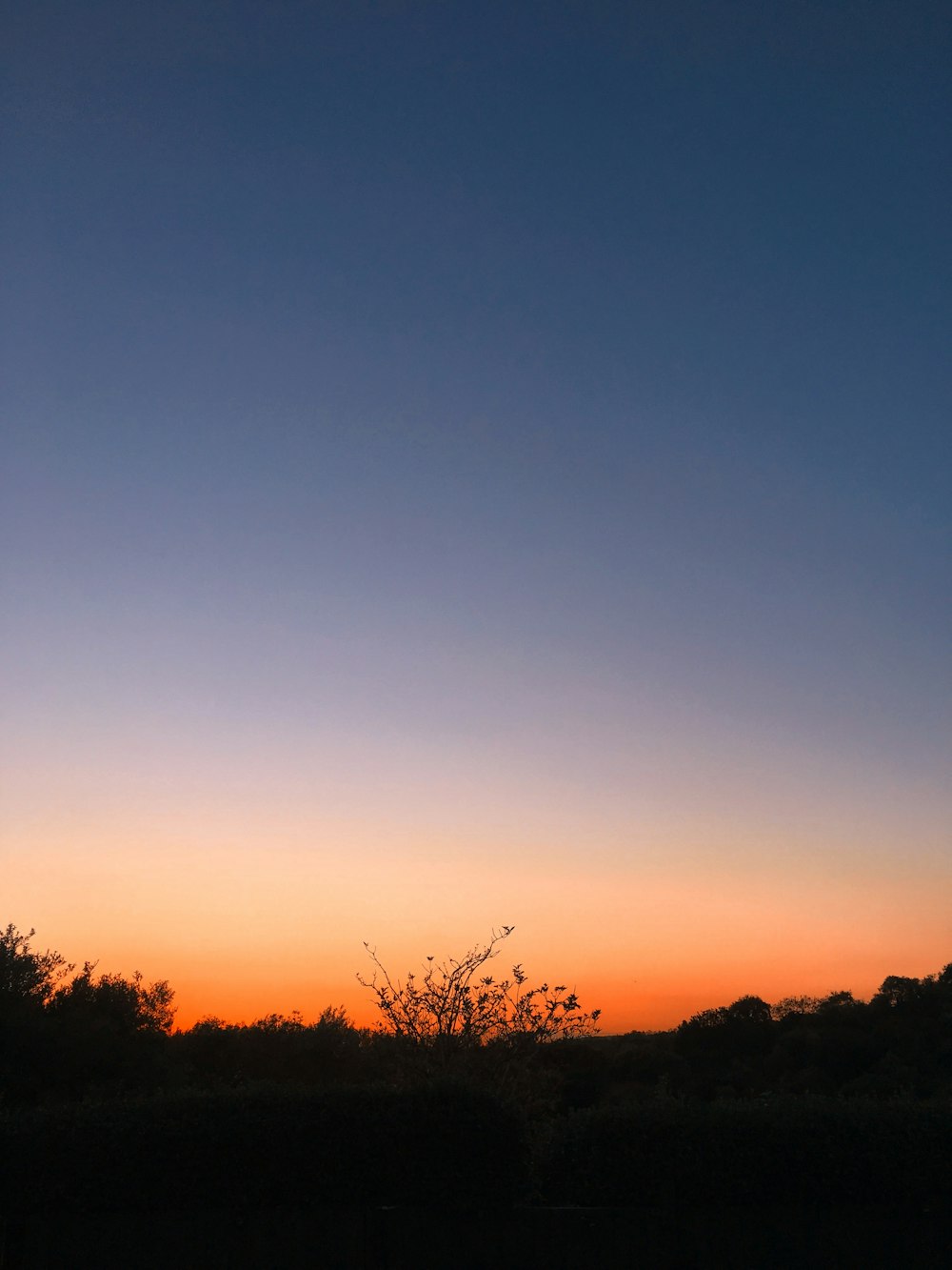 the sun is setting over a field with trees