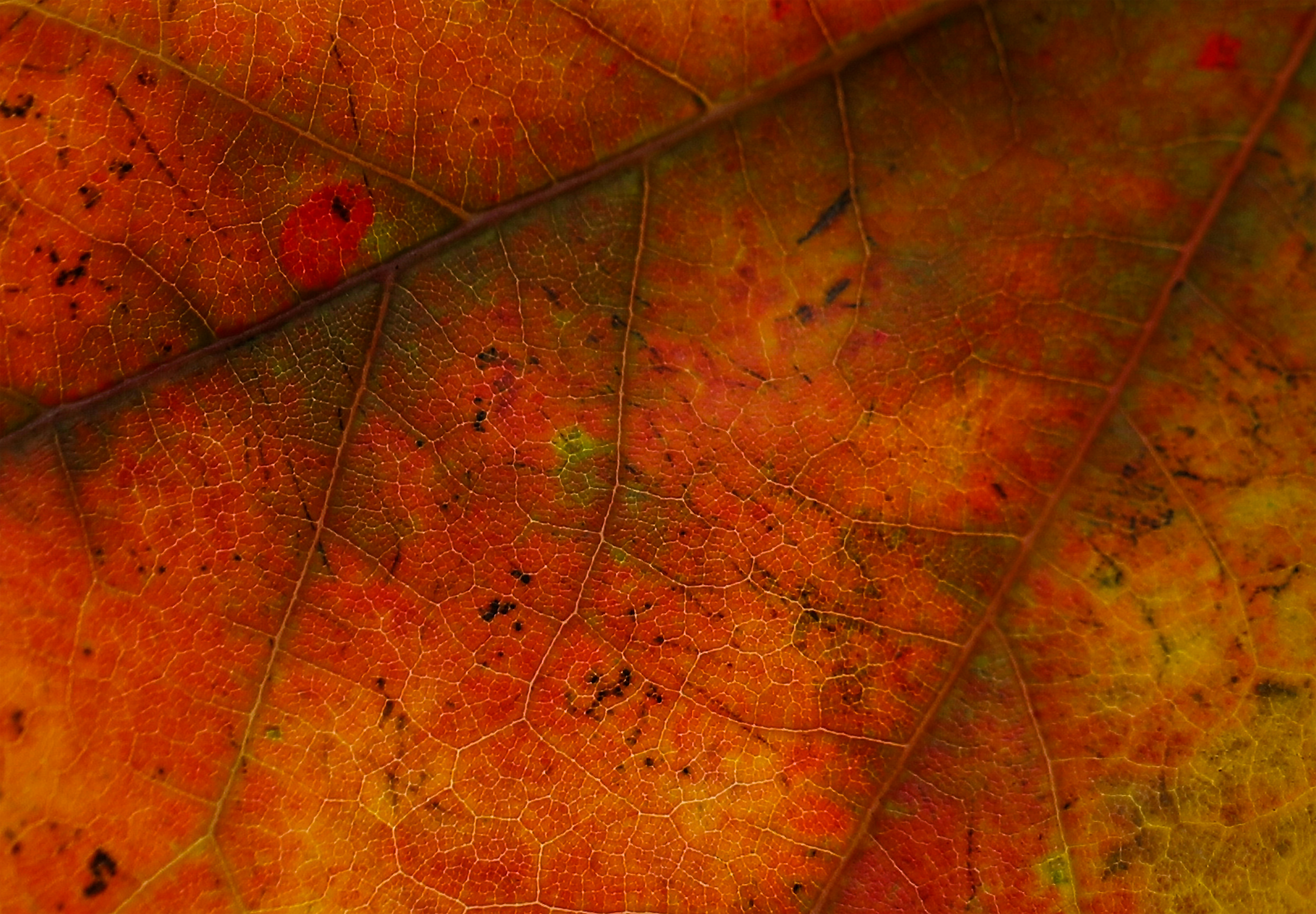 Photo by michaelbweidner