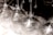 A close-up view of several upside-down wine glasses arranged in neat rows, casting soft reflections and light refractions on a white surface. The glasses have a clear and glossy appearance, highlighting their transparent nature.