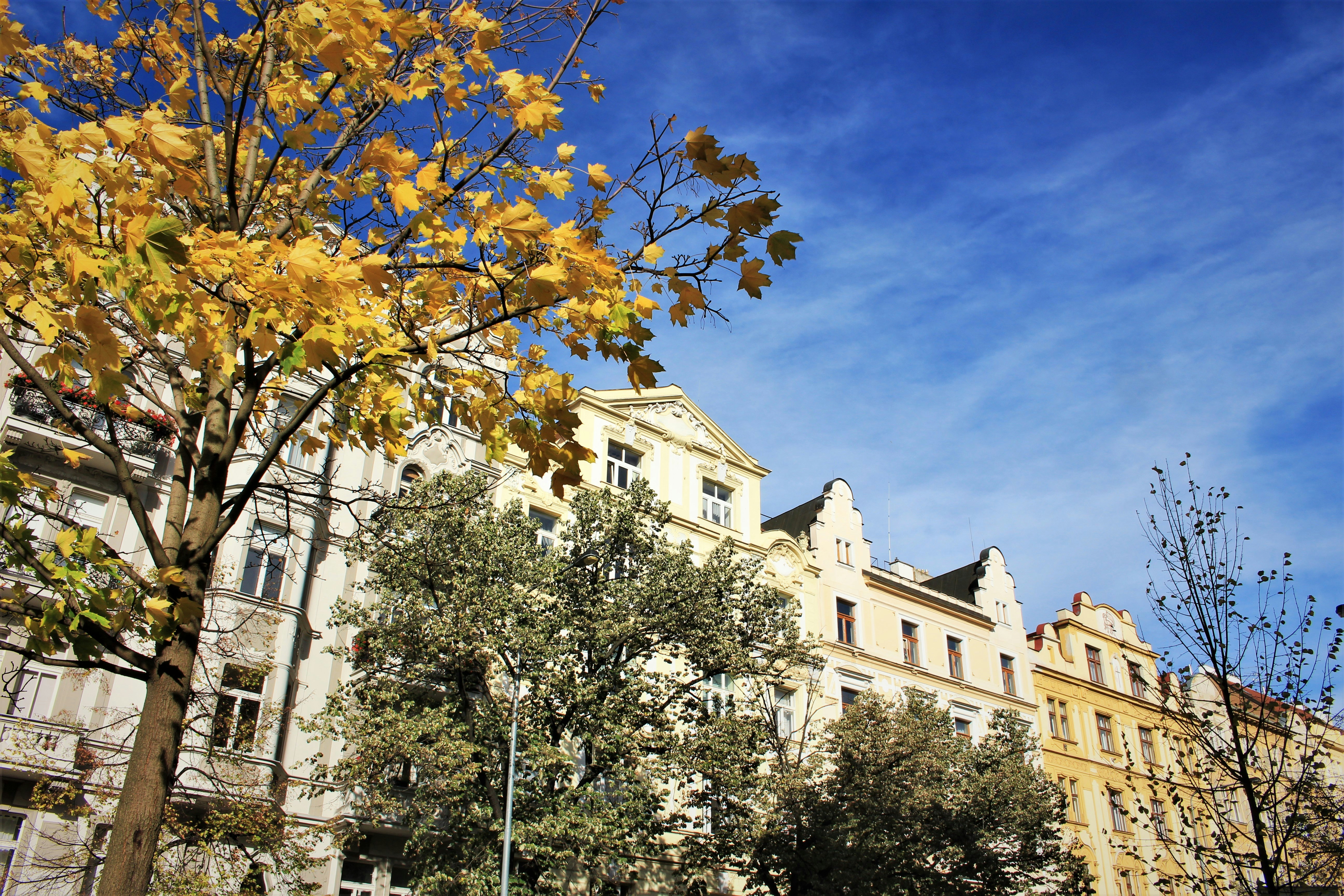 Photo by marjorylucabaxter