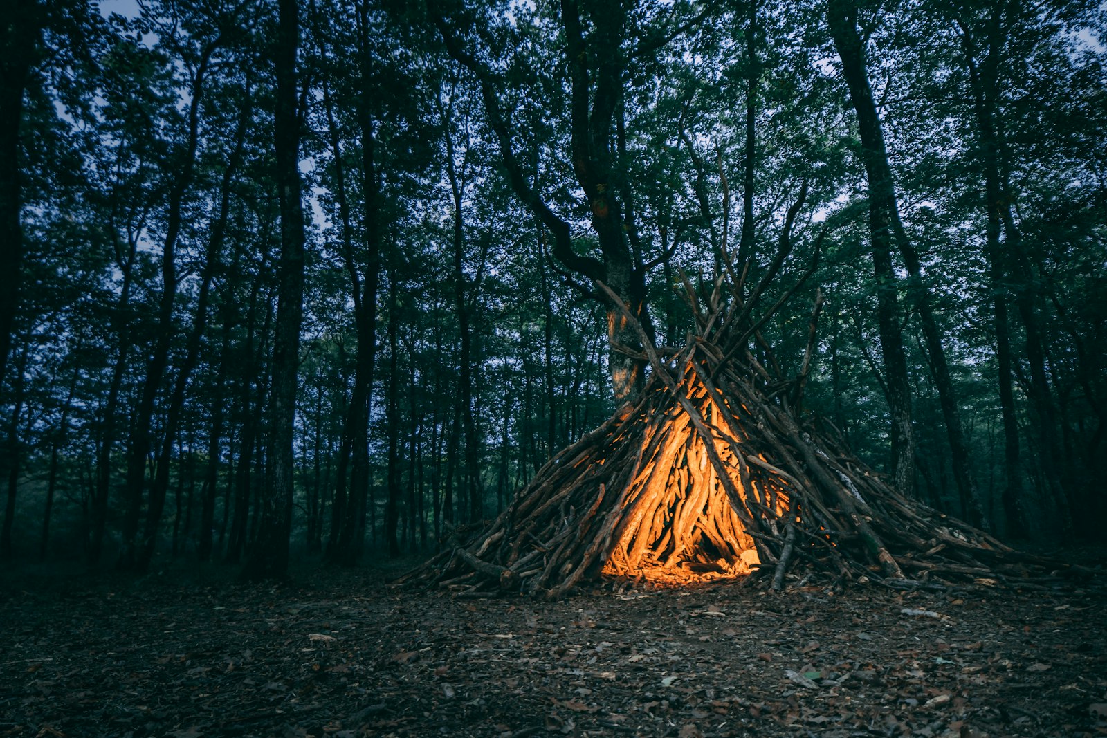 Nikon D5600 + Samyang 14mm F2.8 ED AS IF UMC sample photo. Brown wooden campfire in photography