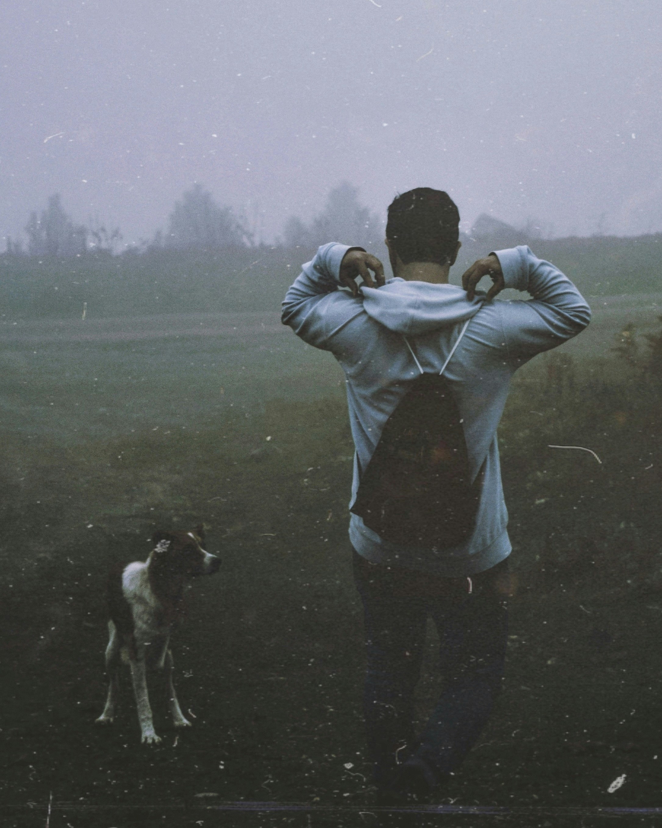 Hiking with dogs: tips and gear - A dog wearing a backpack while hiking