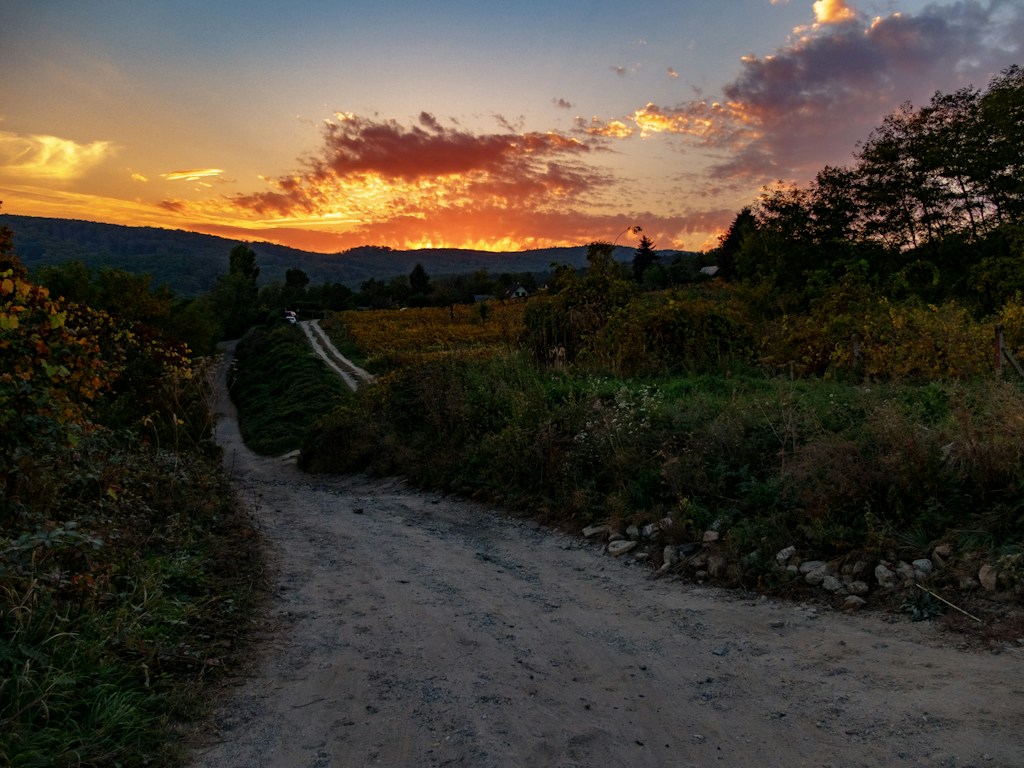 Lote Sierra Azul