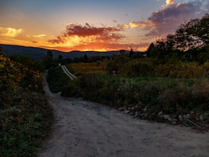 Lote Sierra Azul