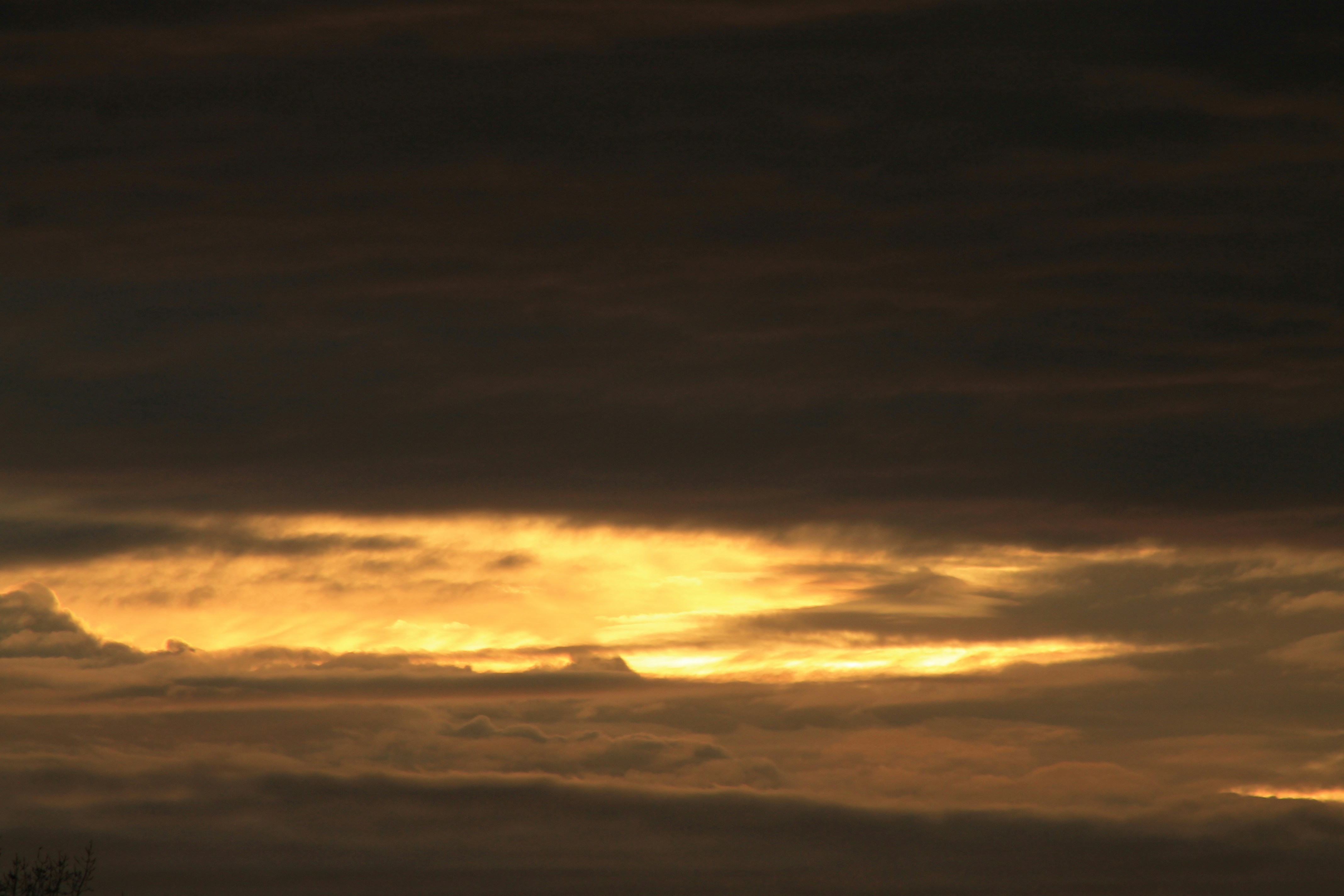 Photo by joyflowerphotography