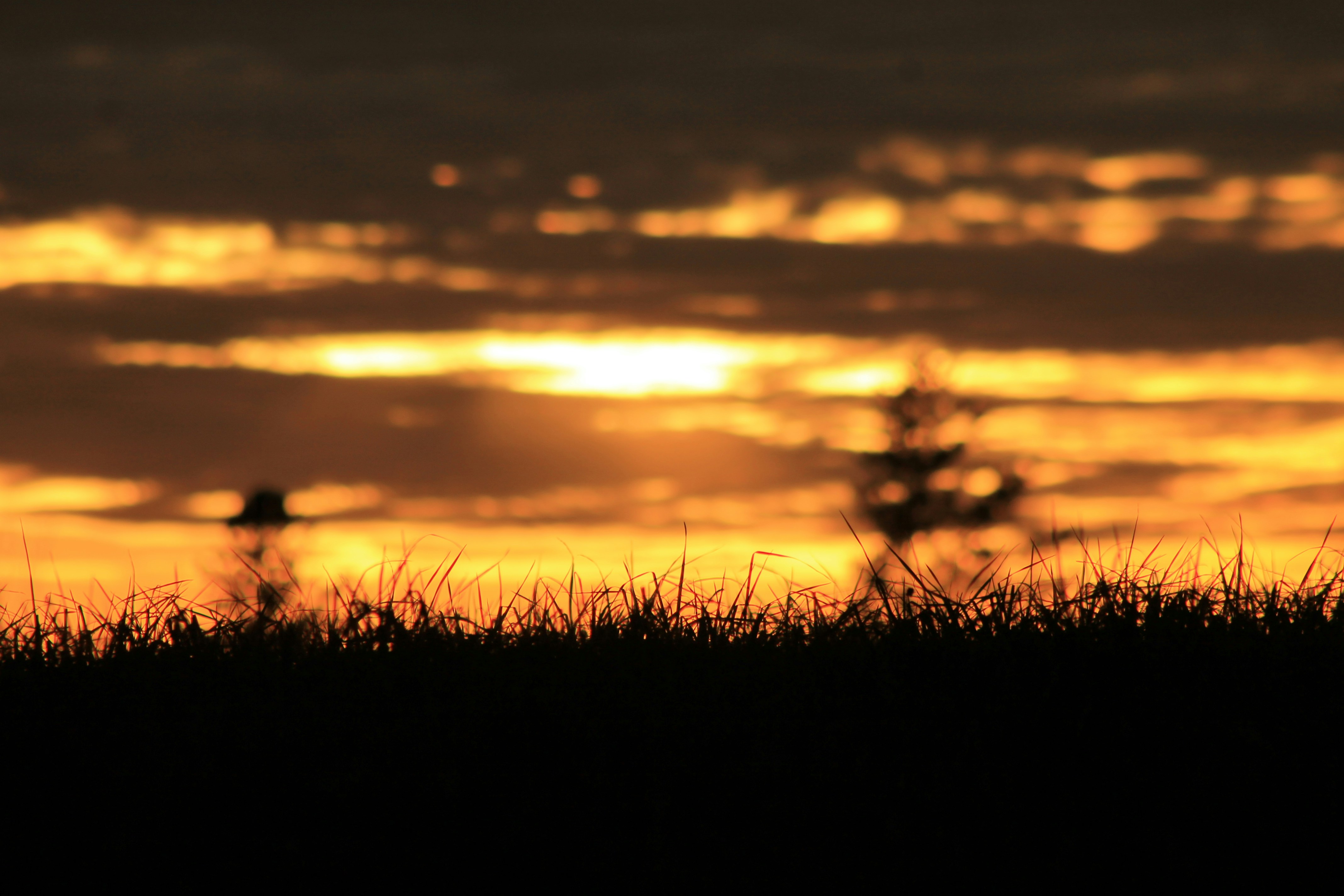 Photo by joyflowerphotography