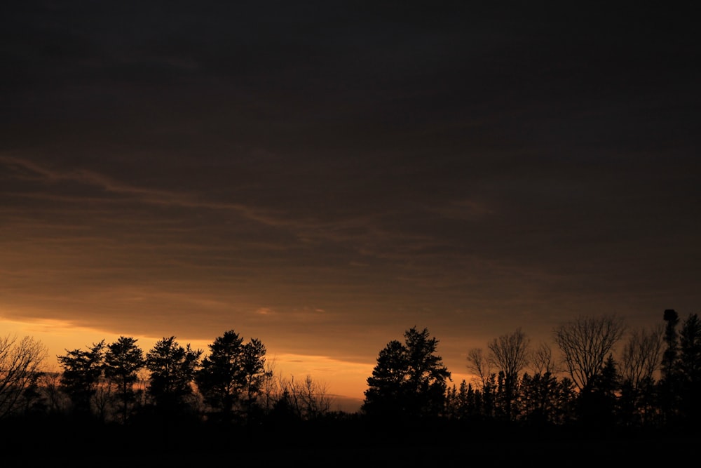 orange sky at sunset over silhouette of trees in field