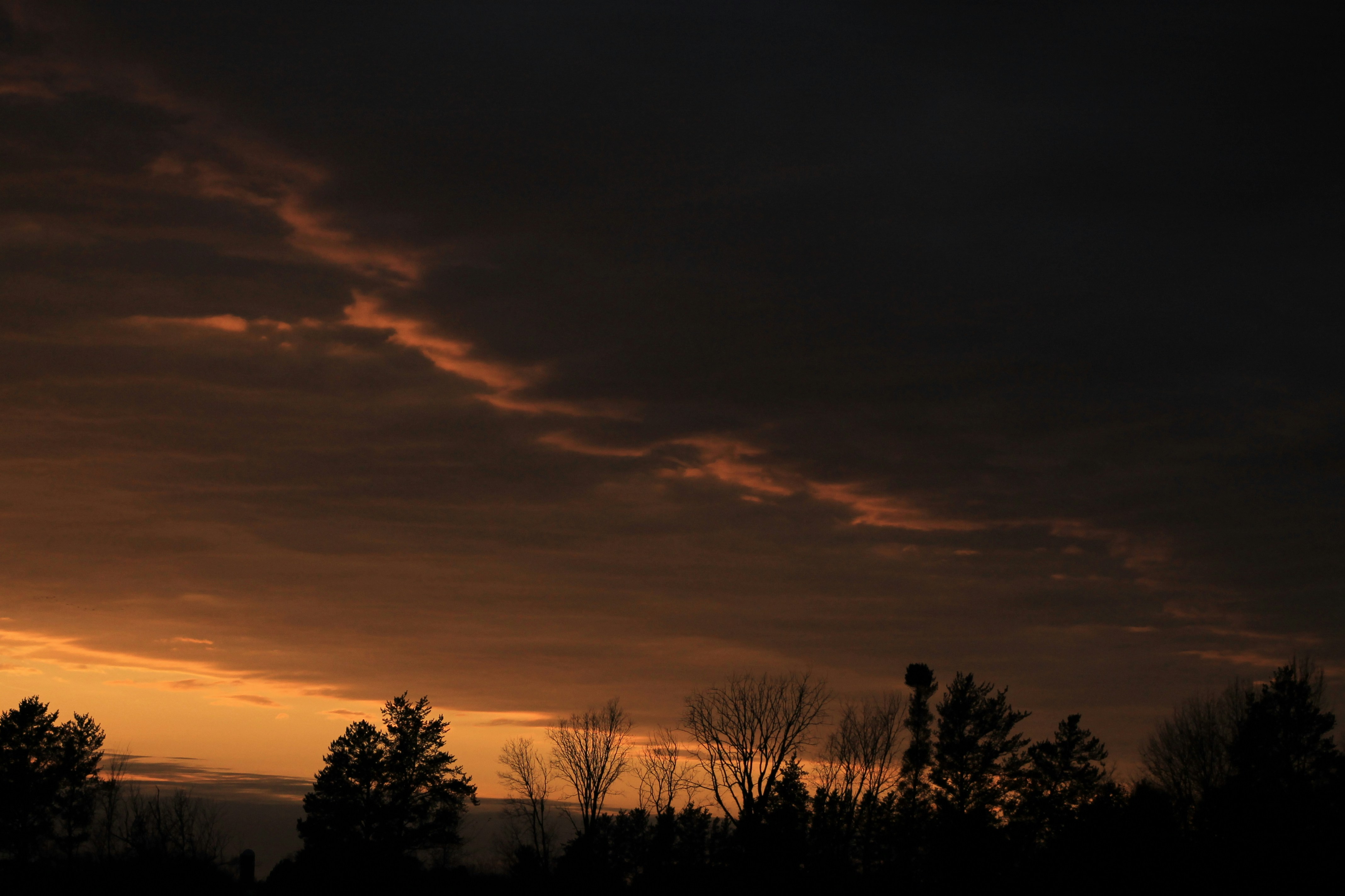 Photo by joyflowerphotography