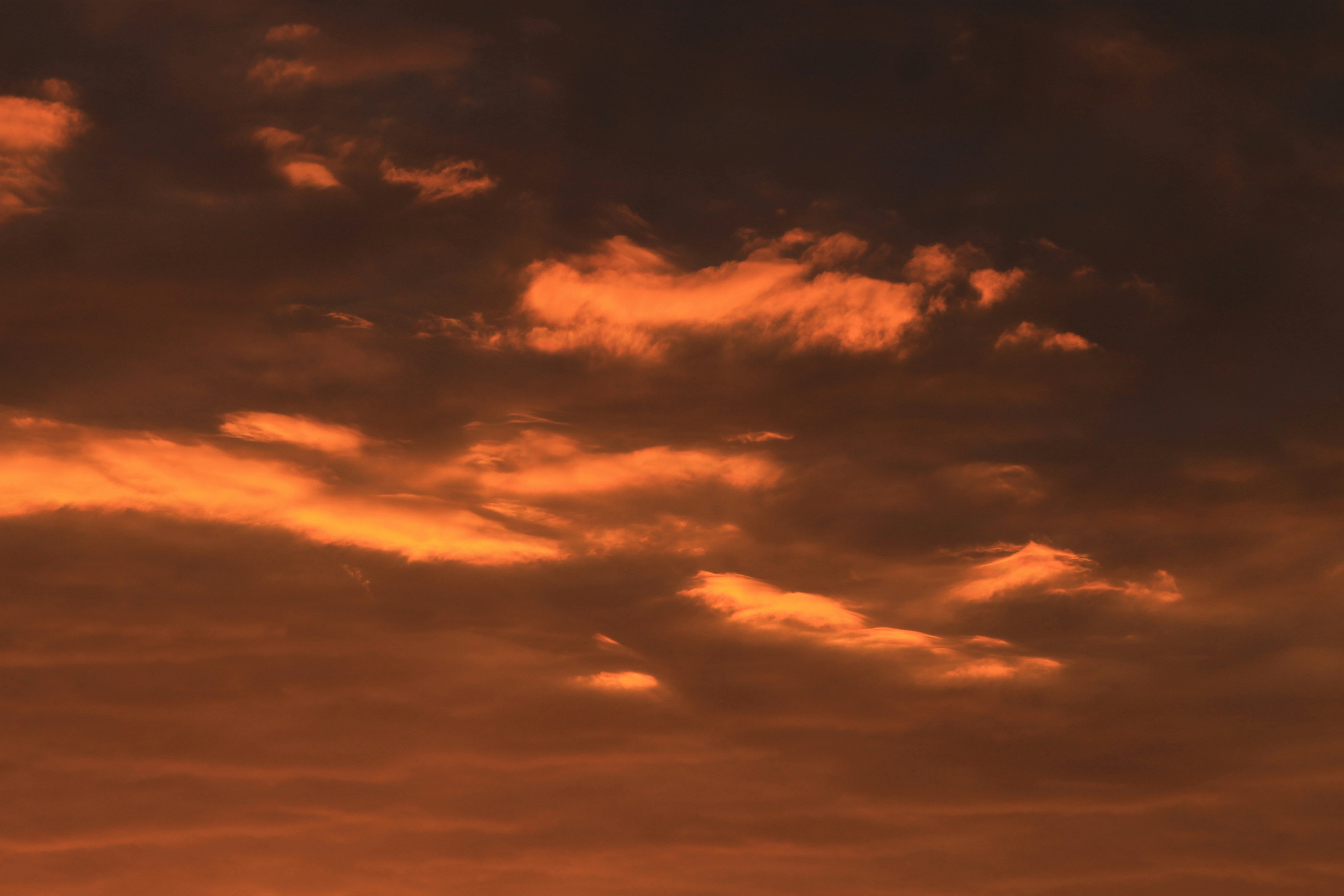 Photo by joyflowerphotography